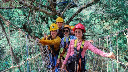 What is Go Ape Alexandra Palace