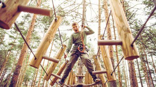What is Go Ape Temple Newsam