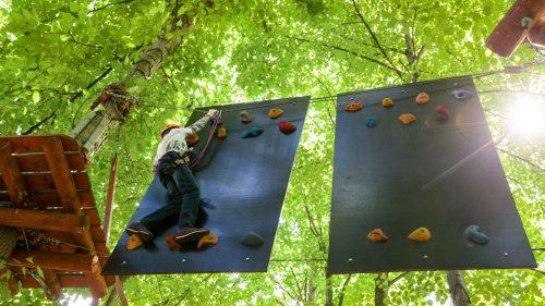 Where Is Go Ape Aberfoyle Located