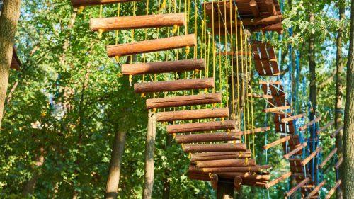 Where is the Nearest Go Ape Adventure