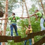 go ape dalby forest