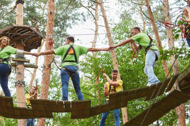 go ape dalby forest