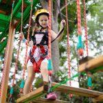 go ape sherwood pines