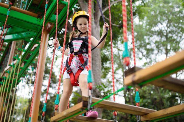 go ape sherwood pines