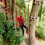 go ape tilgate park