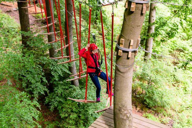go ape tilgate park