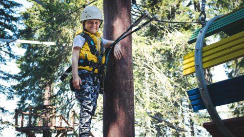 What Are the Main Activities at Go Ape Wendover