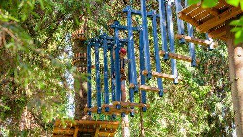 What Are the Reviews Saying About Go Ape Wendover