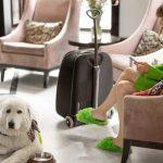 dog friendly holidays in norfolk