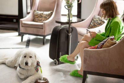 dog friendly holidays in norfolk