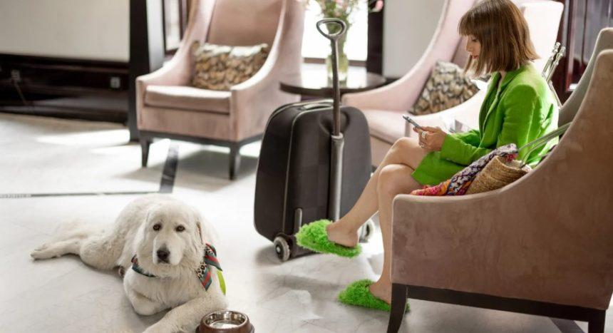 dog friendly holidays in norfolk