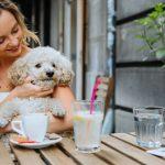 dog friendly hotels blackpool