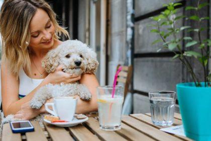 dog friendly hotels blackpool