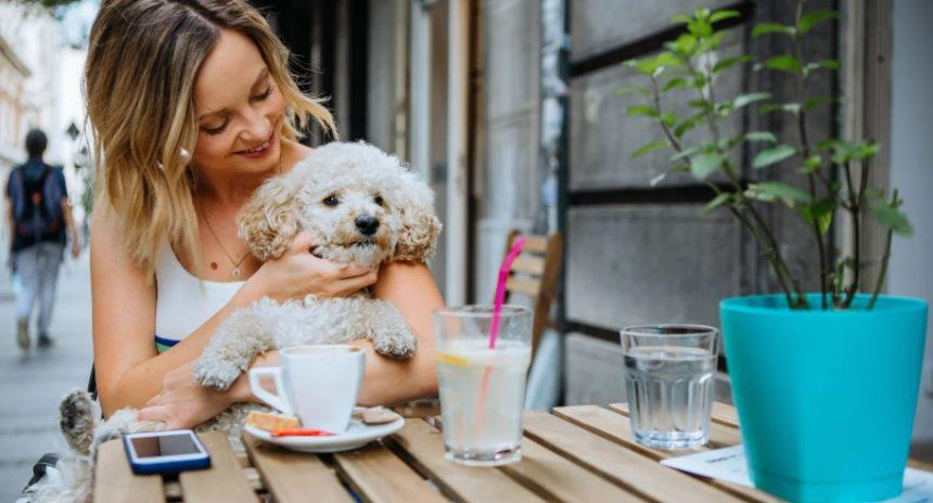 dog friendly hotels blackpool