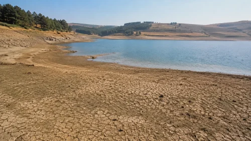 Why Has Thames Water Introduced the Hosepipe Ban